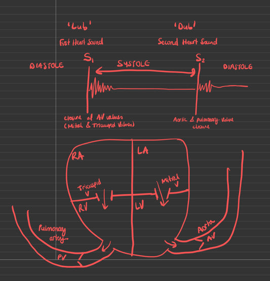 Year 2 Medic Hospital Orientation Reflection