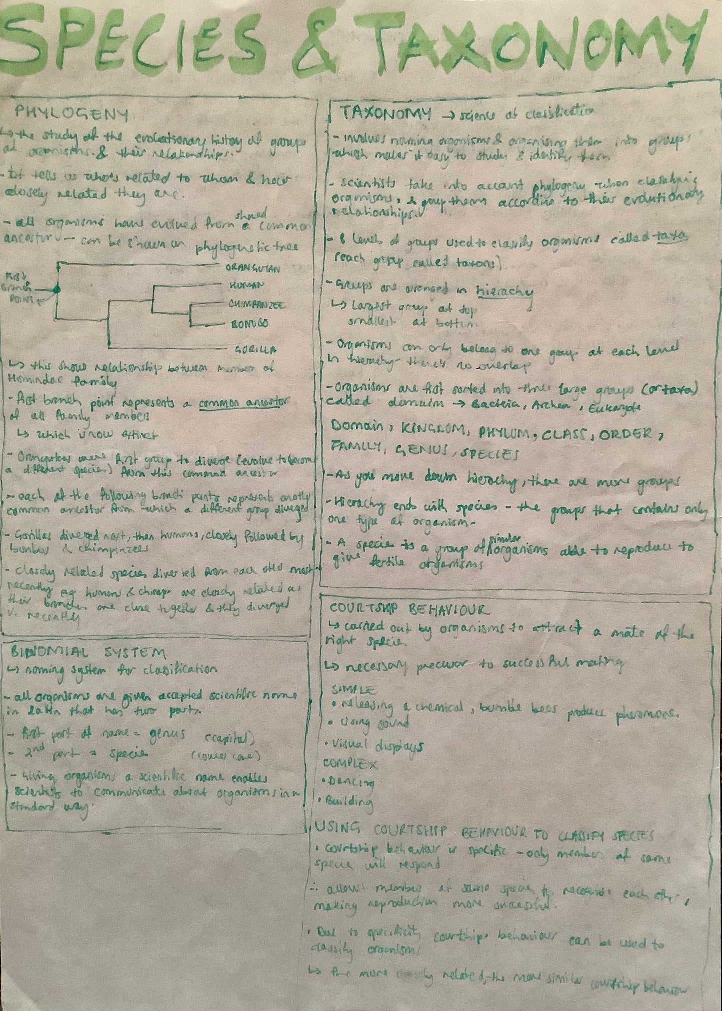 Phylogeny, binomial system, taxonomy, courtship behaviour