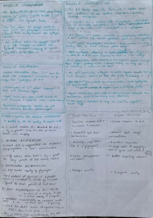 muscle stimulation, muscle contraction, muscle relaxation, energy supply for muscle contraction, fast twitch, slow twitch