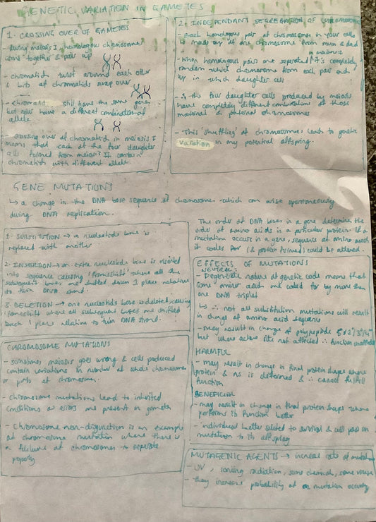 Genetic Variation in Gametes [crossing over of gametes; independent segregation of chromosomes]; Genetic Mutations [substitution,insertion,deletion], chromosome mutations, effects of mutations, mutagenic agents