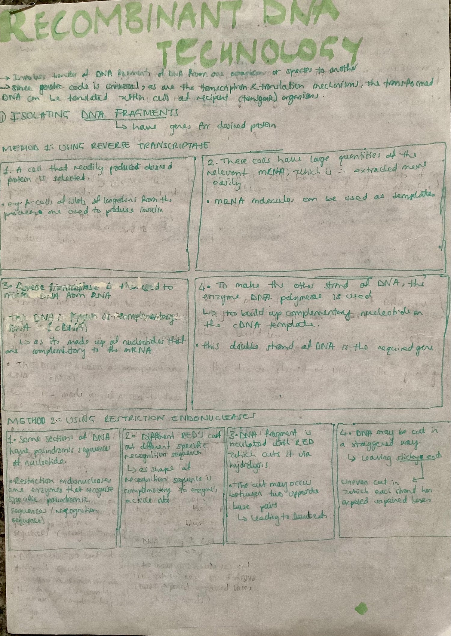 3.8 The control of gene expression