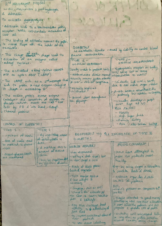 second messenger model; Diabetes: type 1 [insulin dependant/ insulin insufficient], type 2 [insulin independant/insulin resistance]; Control of diabetes; responses to increased incidence of type two diabetes [health advisors, food companies]