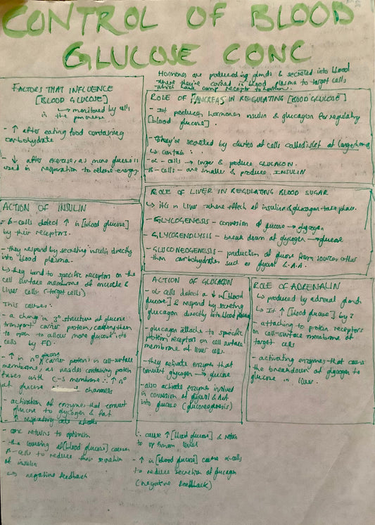 Factors that influence blood glucose concentration, action of insulin, role of pancreas in regulating blood glucose concentration, role of liver in regulating blood sugar, action of glucagon, role of adrenalin