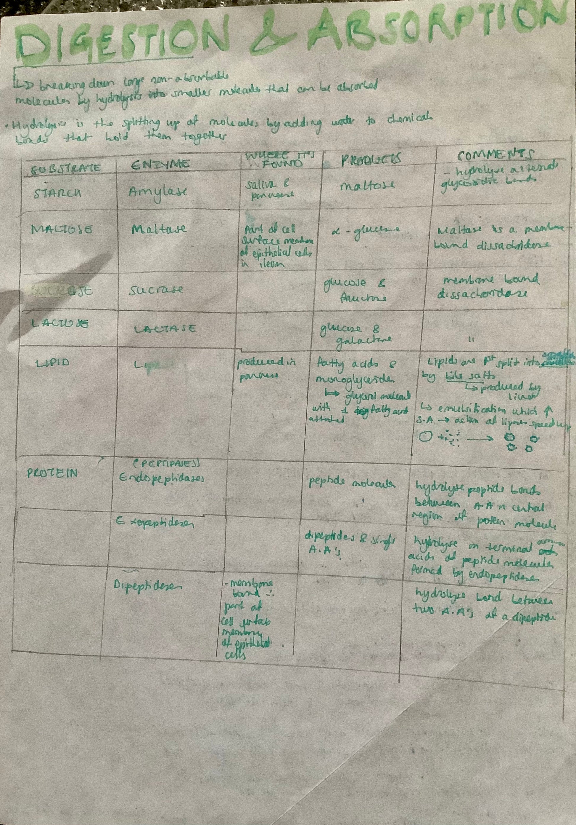 Digestion and absorption: substrate, enzyme, where it's found, products, comments