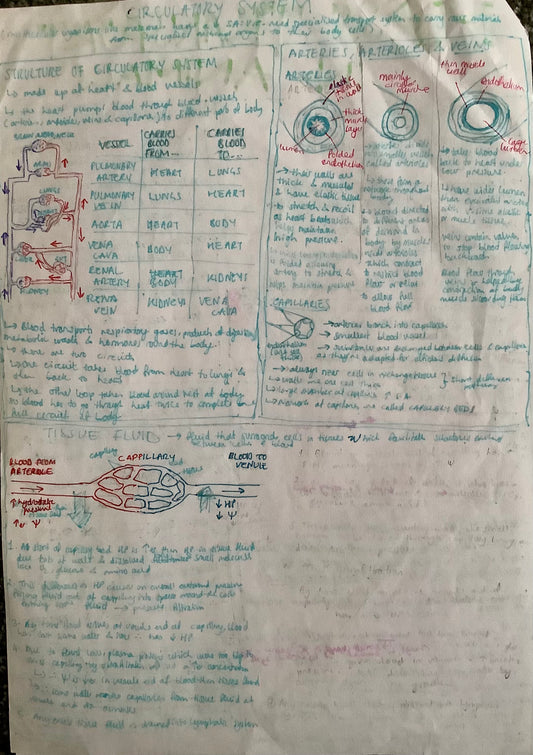 Circulatory system: Structure of circulatory system, arteries,arterioles, veins, tissue fluid