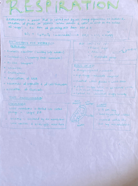 Respiration: ATP is needed for metabolic processes, ATP consists of:, Role of ATP; The mitochondrion: structure, shape