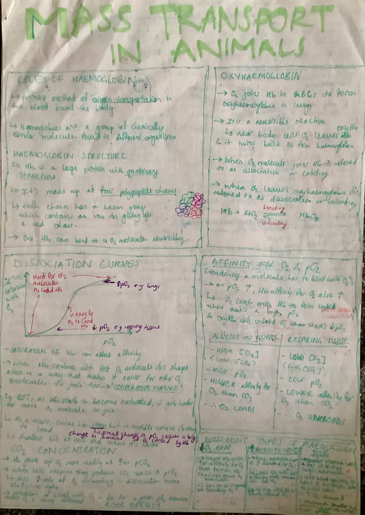 Mass transport in animals, role of haemoglobin, oxyhaemoglobin, dissociation curves, affinity of oxygen and carbon dioxide, different types of haemoglobin