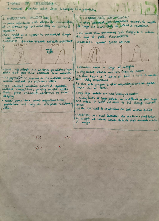 Types of selection: directional selection, stabilising selection