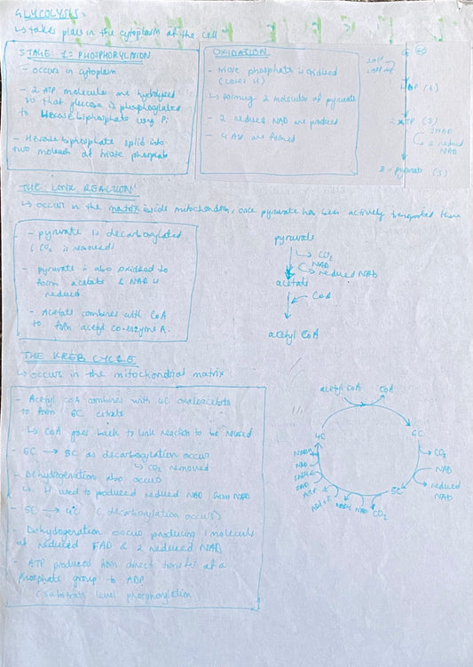 Glycolysis, The Link Reaction, The Kreb Cycle